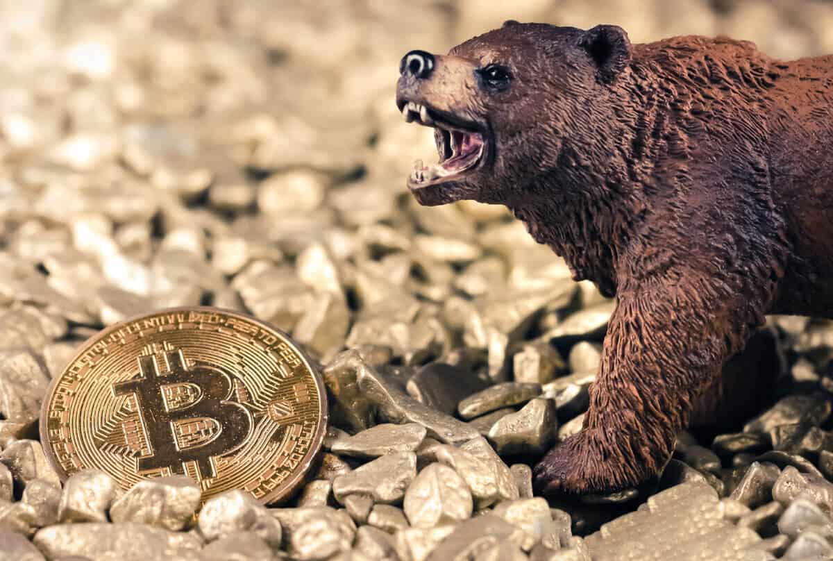 sfârșitul pieței de urs bitcoin
