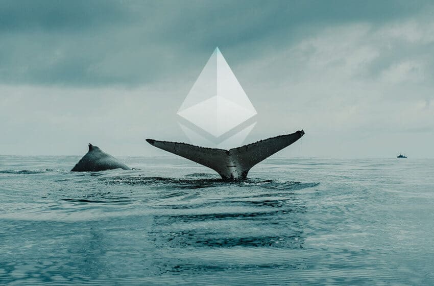  Ethereum-ul deținut de balene atinge un nou maxim pentru ultimii 5 ani
