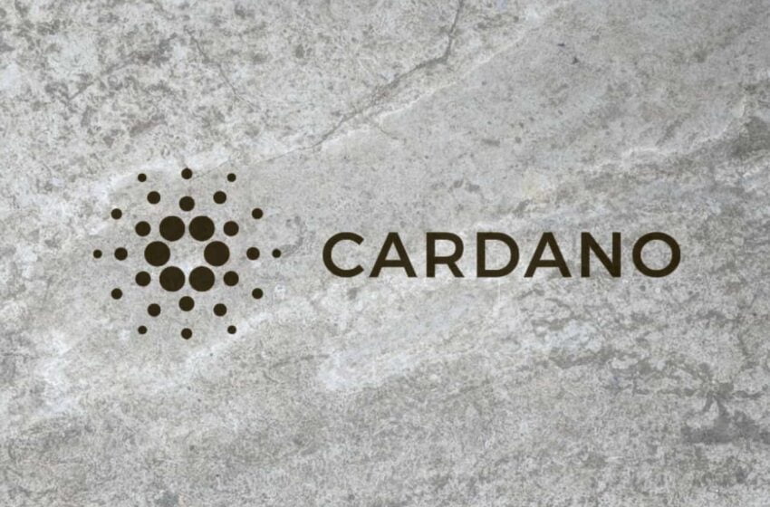  Cardano va dezvălui ce planuri de extindere are pentru 2022